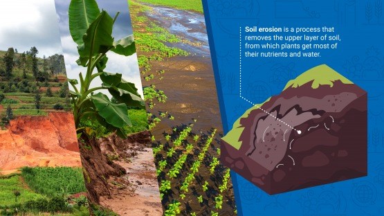 Kỹ thuật hạt nhân – giảm thiểu xói mòn đất