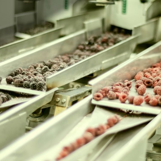 Máy X-Ray Cho Sản Phẩm Thực Phẩm Đông Lạnh